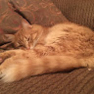 Meet your Posher, Brianna